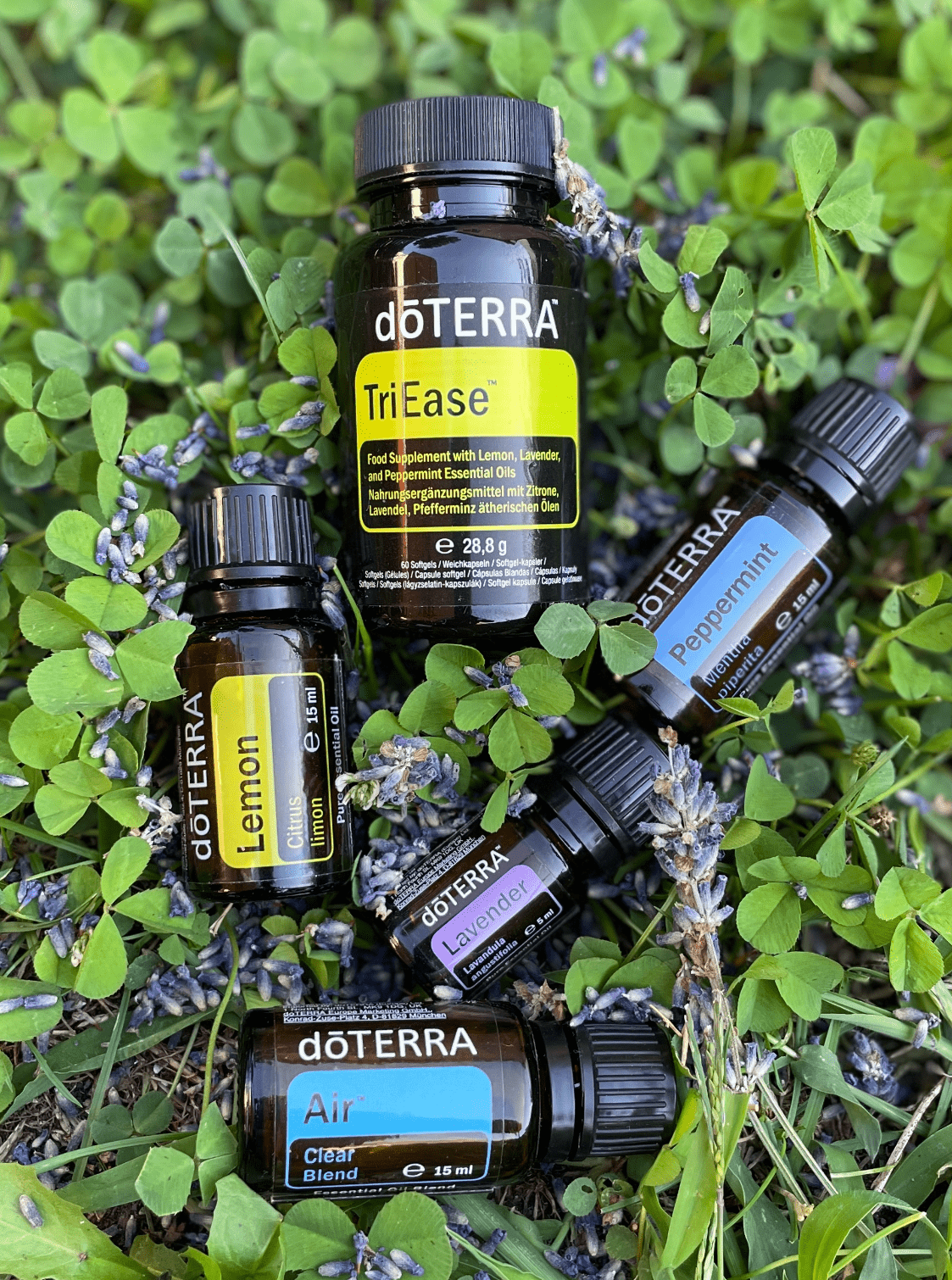 doTerra-c034710f.png